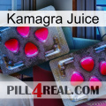 Kamagra Juice 15